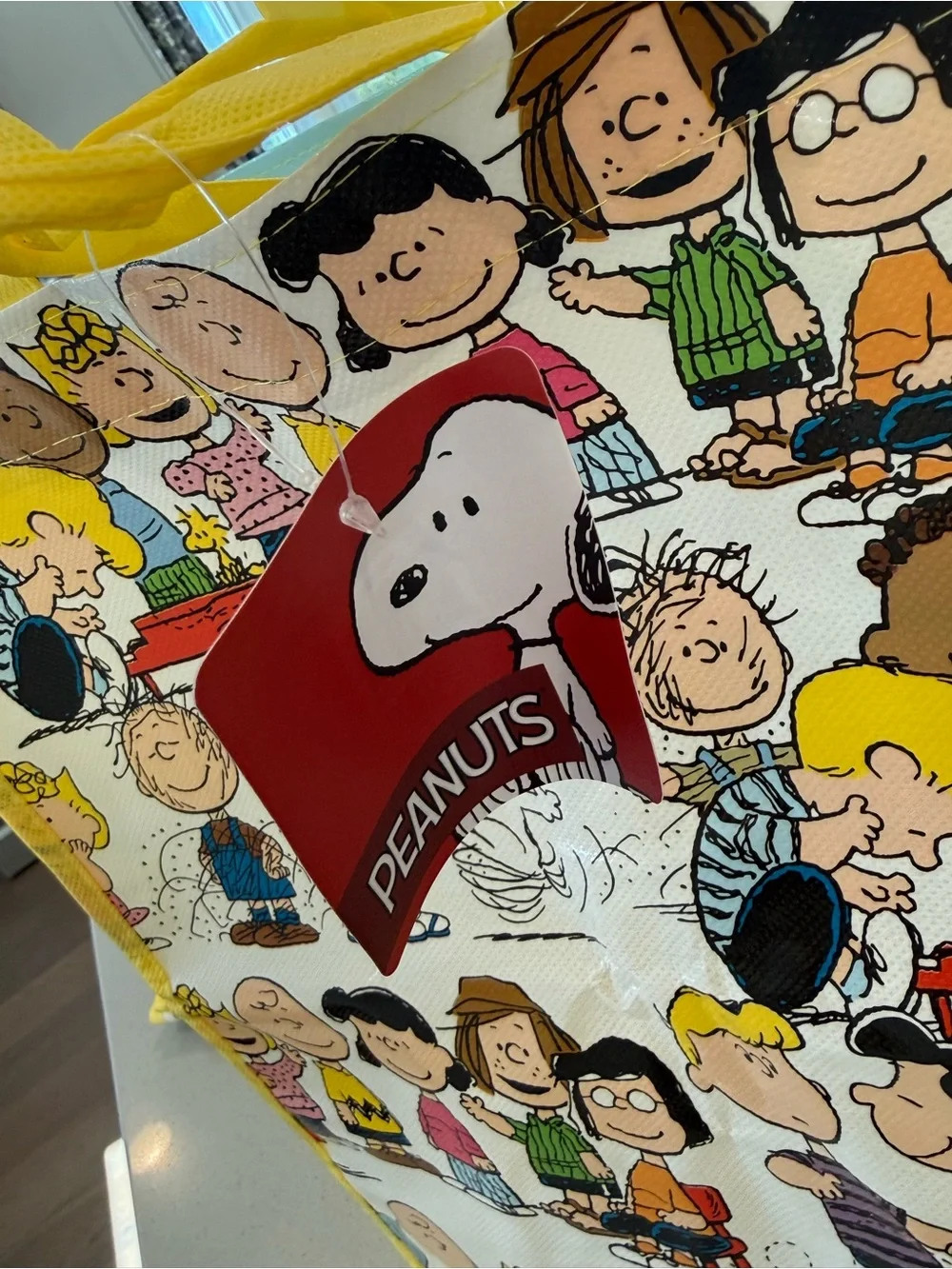 Peanuts shopper tote NWT snoopy, Charlie Brown, Lucy Peanuts gang